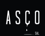 https://www.ascopaints.com/